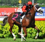 Cannon Hill (Barend Vorster) races clear at the 200m in the 2000m race on Sunday.<br>Photo by Singapore Turf Club